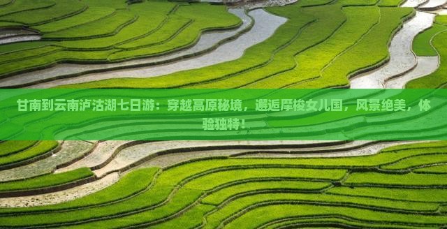 甘南到云南泸沽湖七日游