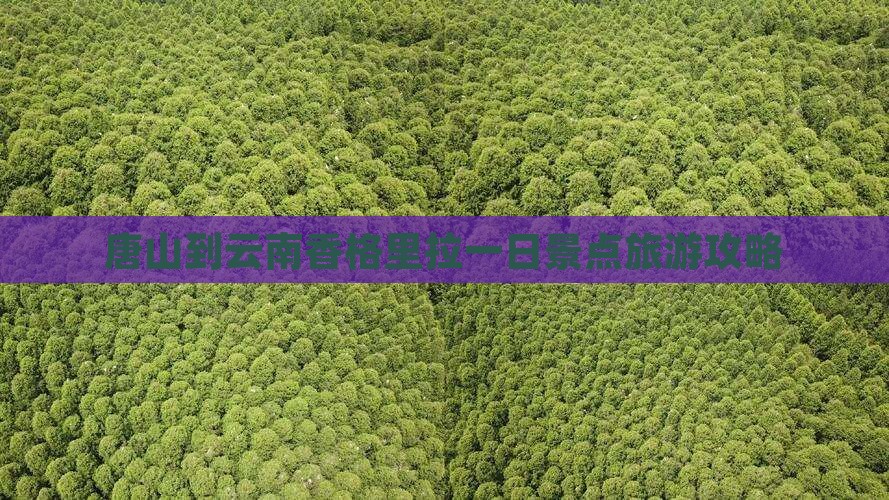 唐山到云南香格里拉一日