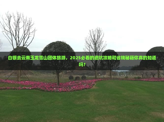白银去云南玉龙雪山团体旅游