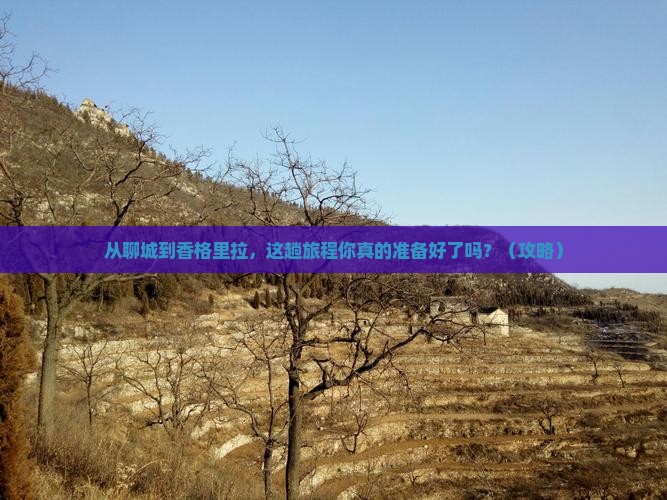 聊城到云南香格里拉旅游