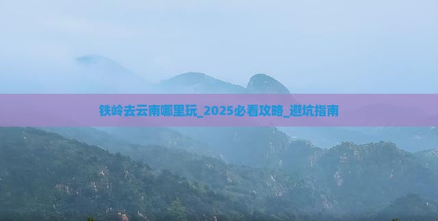 铁岭去云南哪里玩