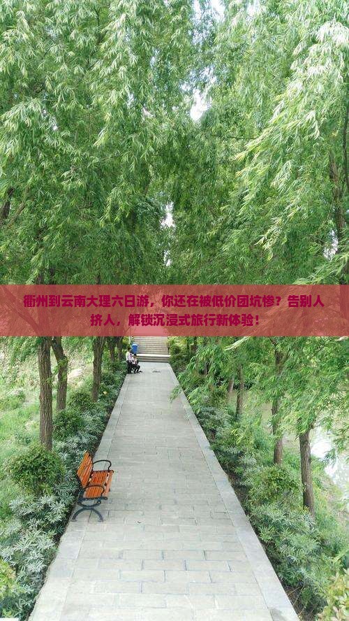 衢州到云南大理六日游