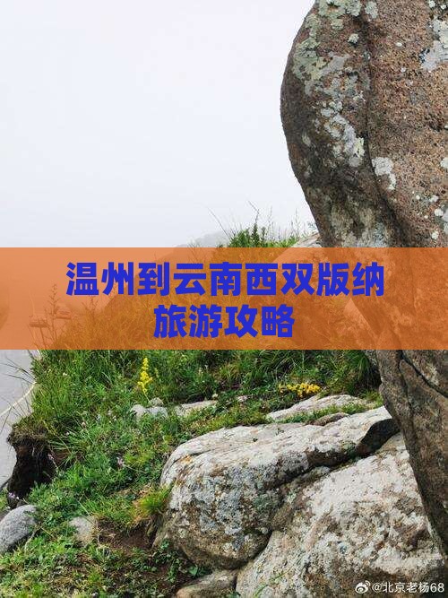温州到云南西双版纳五日游