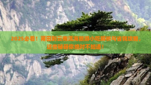 莆田到云南洱海旅游小吃