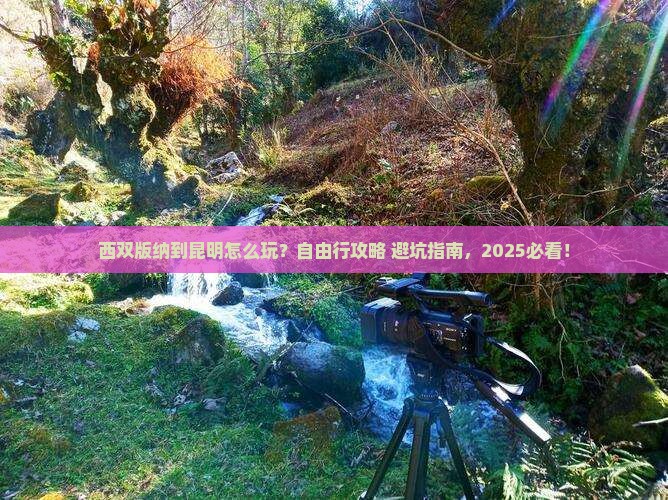 西双版纳去云南昆明自由行