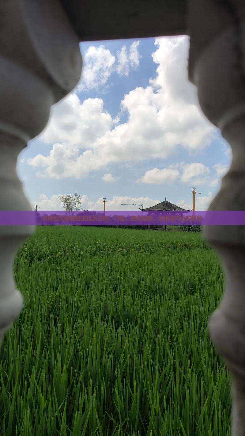 抚顺到云南香格里拉五日游