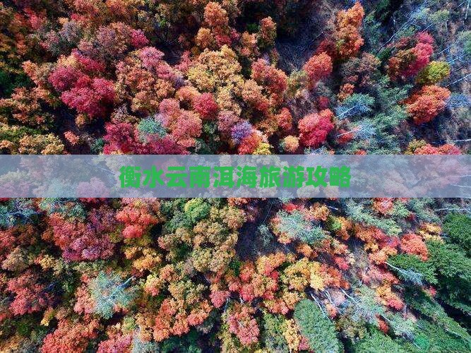 衡水去云南洱海自由团