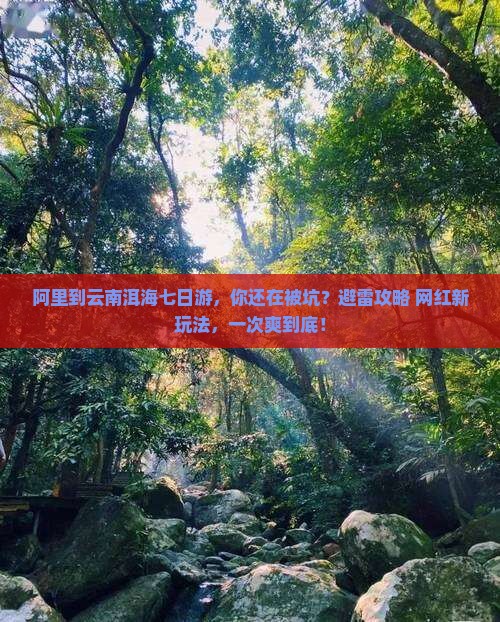 阿里到云南洱海七日游