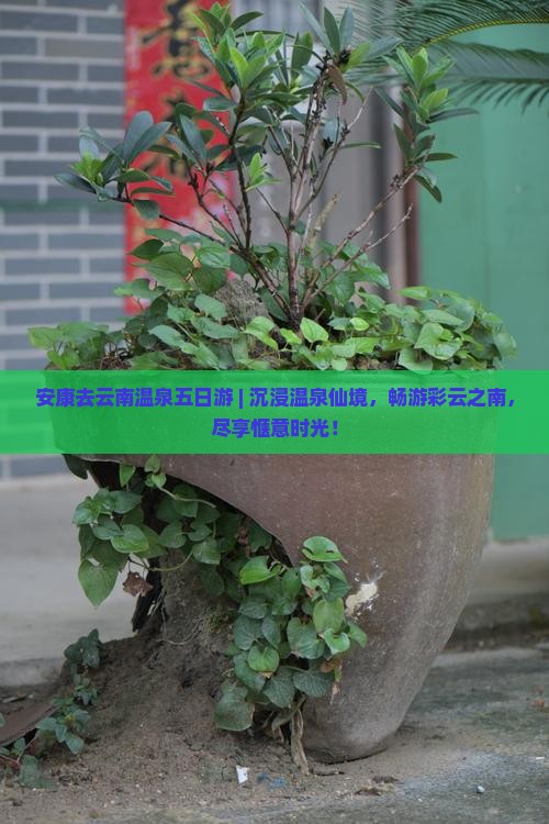 安康去云南温泉五日游