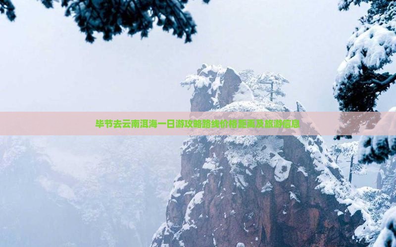 毕节去云南洱海一日