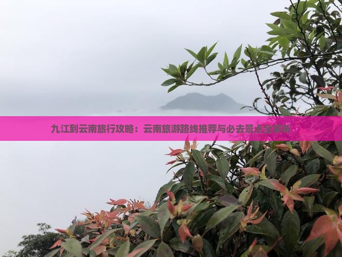 九江到云南旅游