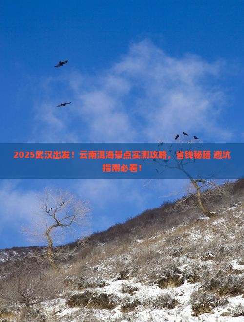 武汉到云南洱海景点