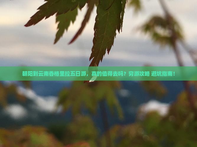 朝阳到云南香格里拉五日游
