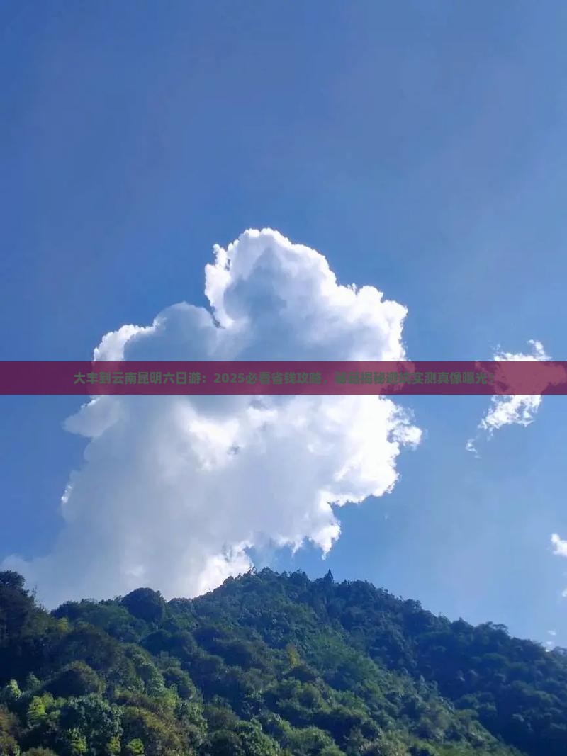 大丰到云南昆明六日游