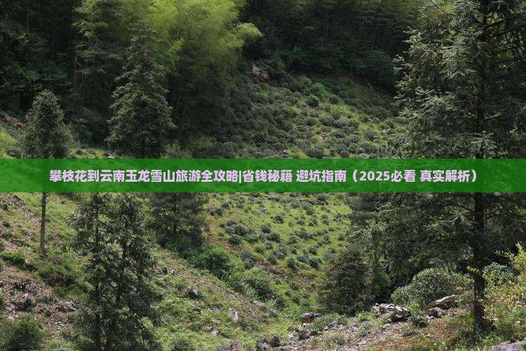 攀枝花去云南玉龙雪山大型旅游团