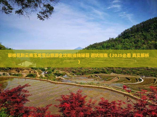 攀枝花去云南玉龙雪山大型旅游团