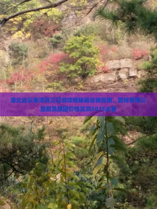 淮北去云南洱海三日游