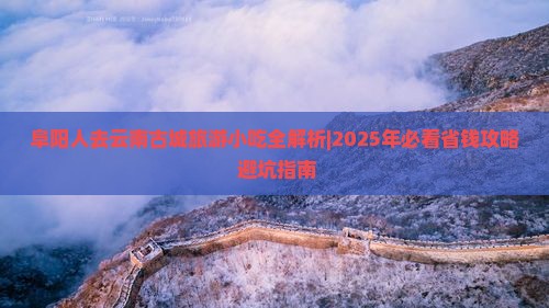 阜阳去云南古城旅游小吃