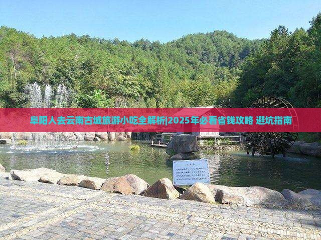 阜阳去云南古城旅游小吃