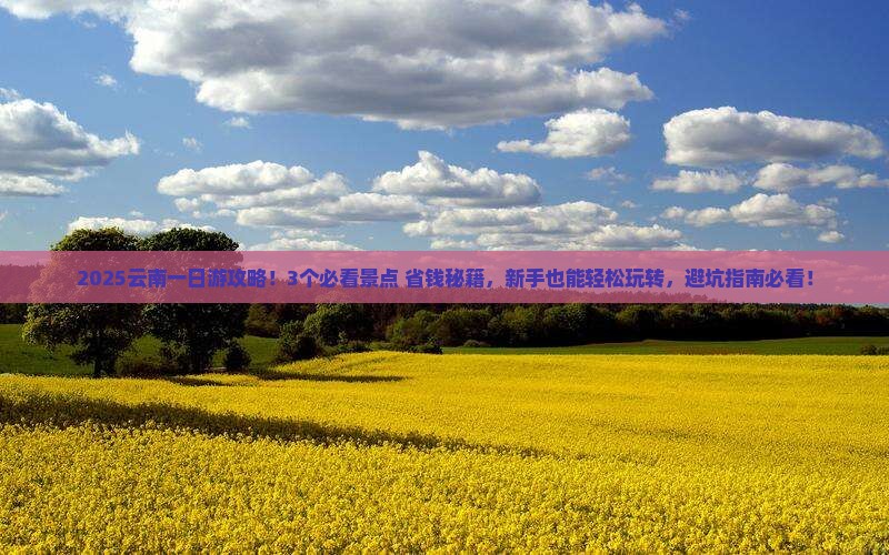克拉玛依到云南一日