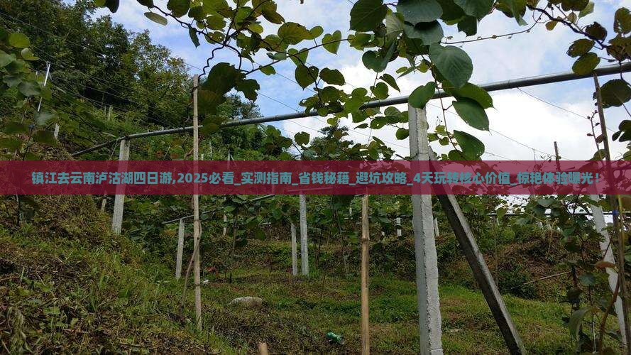 镇江去云南泸沽湖四日游
