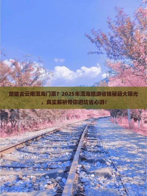 楚雄去云南洱海门票