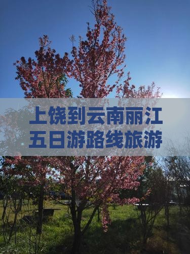 上饶到云南丽江五日游 上饶到云南丽江五日游