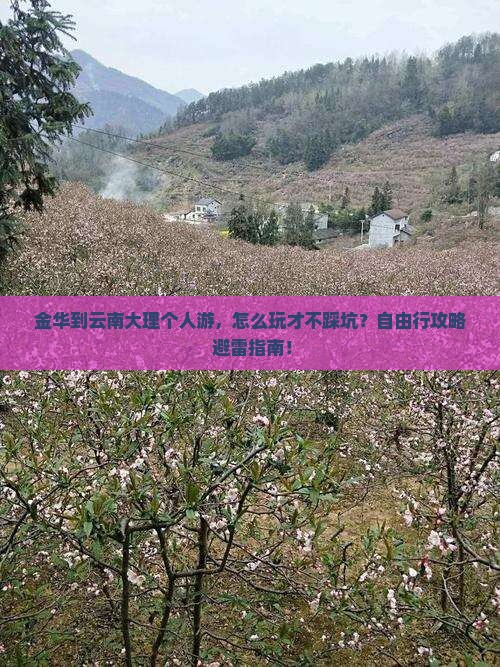 金华到云南大理个人游