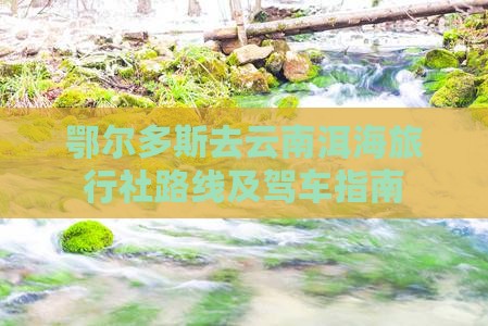 鄂尔多斯去云南洱海旅行社
