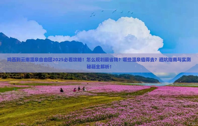 鸡西到云南温泉自由团
