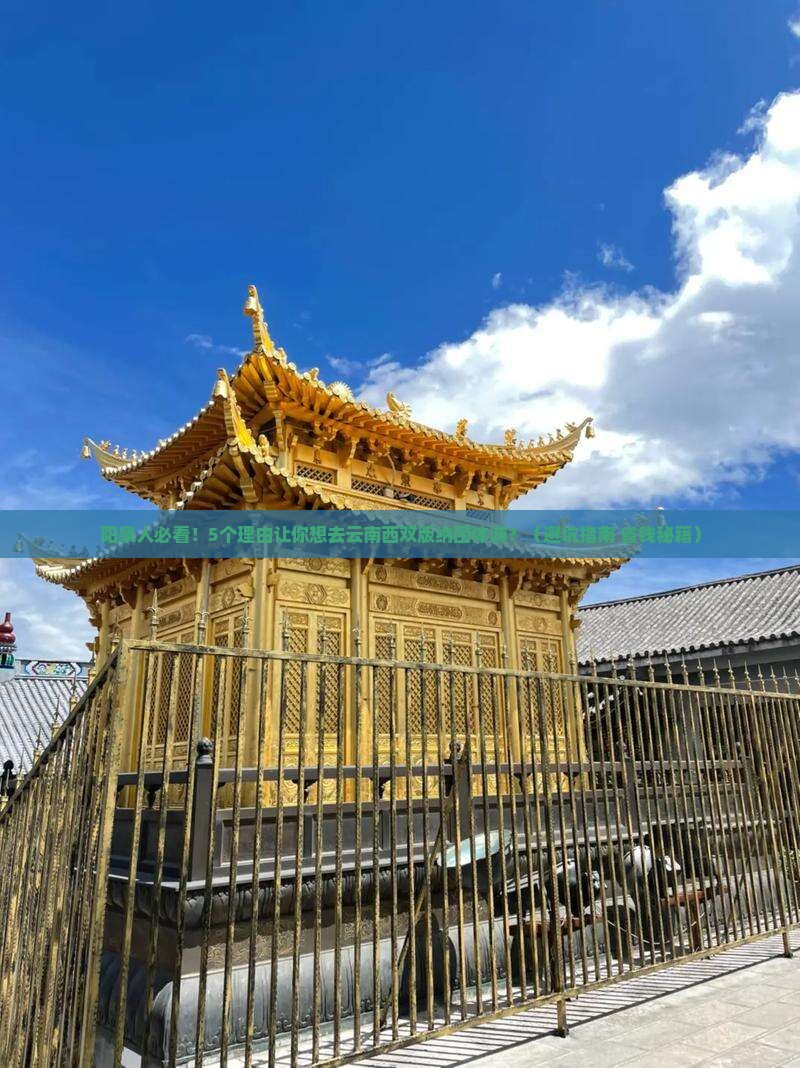 阳泉到云南西双版纳团体旅游