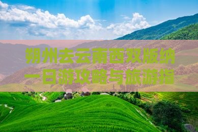 朔州去云南西双版纳一日