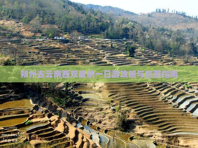 朔州去云南西双版纳一日