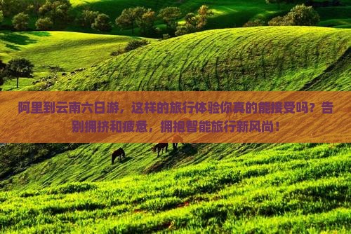 阿里到云南六日游