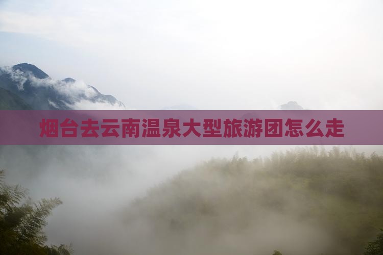 烟台去云南温泉大型旅游团