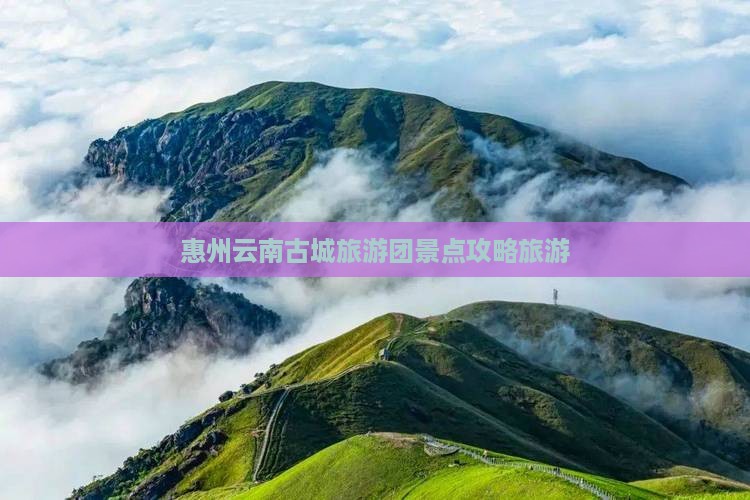 惠州到云南古城大型旅游团