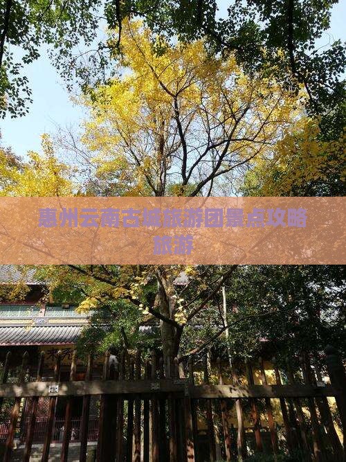 惠州到云南古城大型旅游团