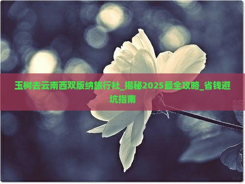玉树去云南西双版纳旅行社