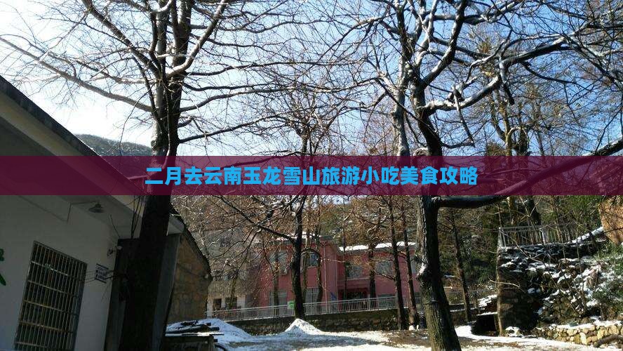 二月去云南玉龙雪山旅游小吃