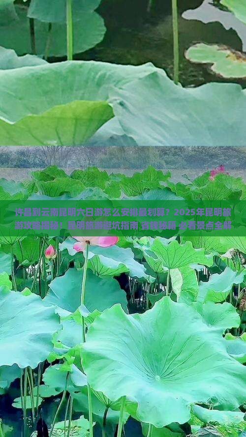 许昌到云南昆明六日游