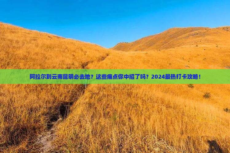 阿拉尔到云南昆明必去地