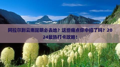 阿拉尔到云南昆明必去地