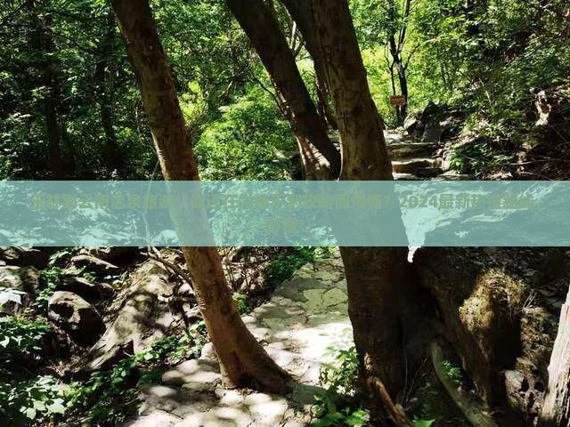 玉林到云南温泉旅游