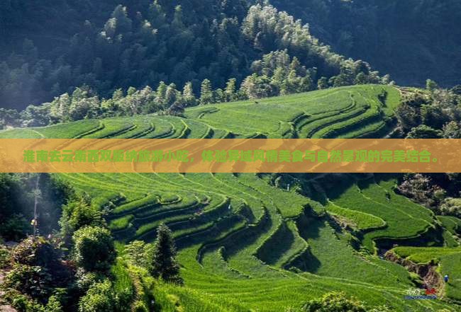 淮南去云南西双版纳旅游小吃