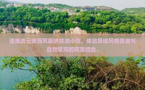 淮南去云南西双版纳旅游小吃