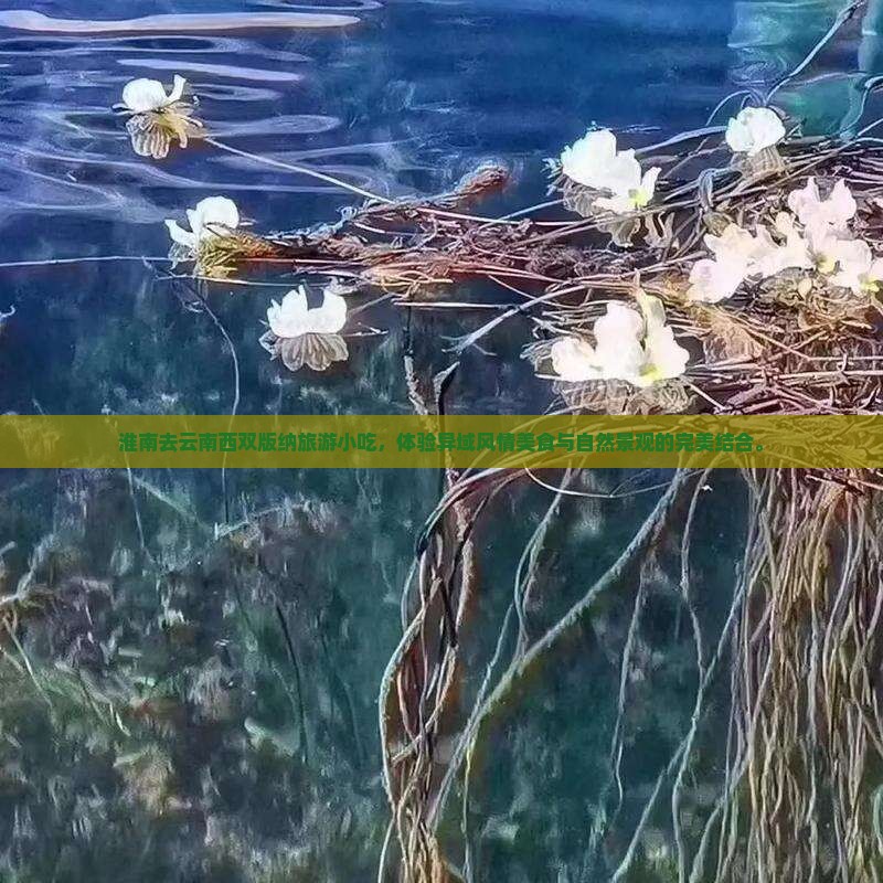 淮南去云南西双版纳旅游小吃