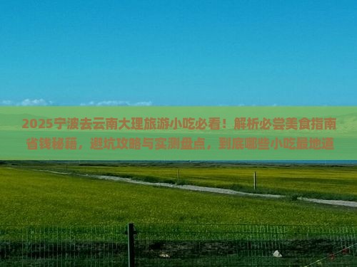 宁波去云南大理旅游小吃