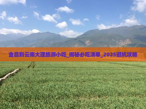 金昌到云南大理旅游小吃