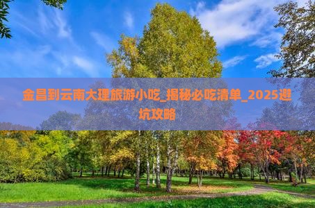 金昌到云南大理旅游小吃