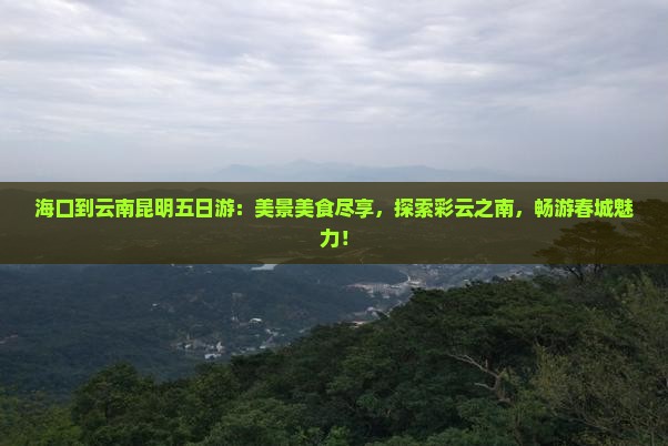 海口到云南昆明五日游